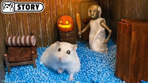 hamster grannies|Hamster vs Granny in the Scary House for Halloween  .